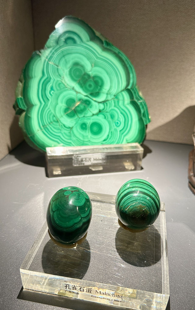 眼花繚亂，地質博物館長見識