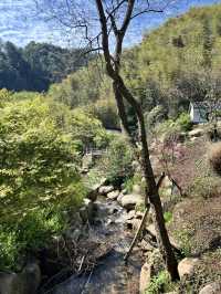 讓身心放個假，江浙滬佛系度假民宿推薦