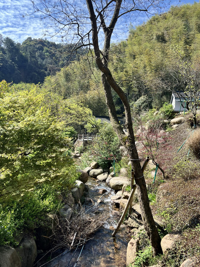 讓身心放個假，江浙滬佛系度假民宿推薦