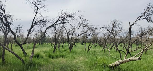 張掖國家濕地公園