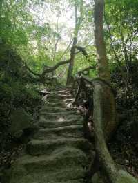 大口國家森林公園探險全攻略！
