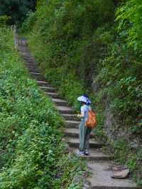 暑期近郊親子徒步寶藏地 | 跑馬嶺避暑納涼，好愜意