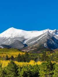 🌟 Flagstaff's Finest Stays: Cozy Inns & Scenic Views 🌲