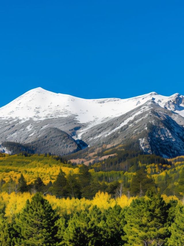 🌟 Flagstaff's Finest Stays: Cozy Inns & Scenic Views 🌲