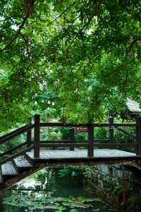 周末去哪玩|臨沂打卡地蘭陵壓油溝