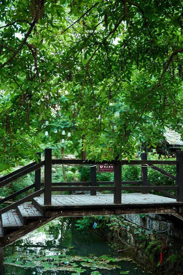 周末去哪玩|臨沂打卡地蘭陵壓油溝
