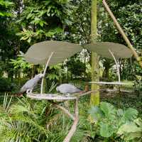 Birds Paradise 🦜 Singapore 🇸🇬 