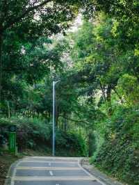深圳小眾徒步路線，連接公園古鎮的舒適之旅🌳🏘