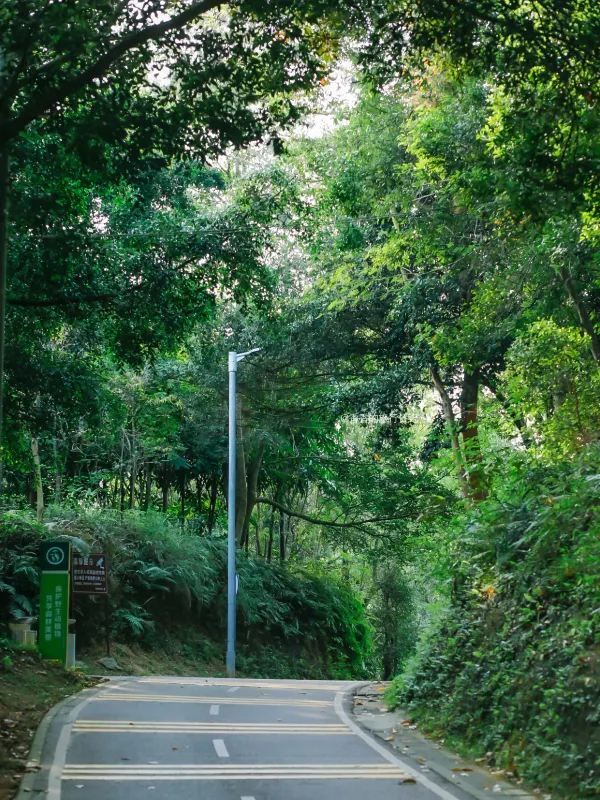 深圳小眾徒步路線，連接公園古鎮的舒適之旅🌳🏘