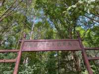伊春旅遊攻略