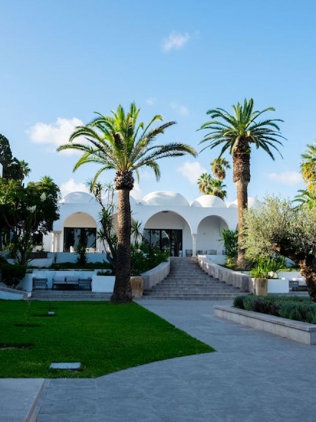 🌴🍹 Hammamet's Top Sips & Sleeps: Hotel Hotspots 🏖️🛏️