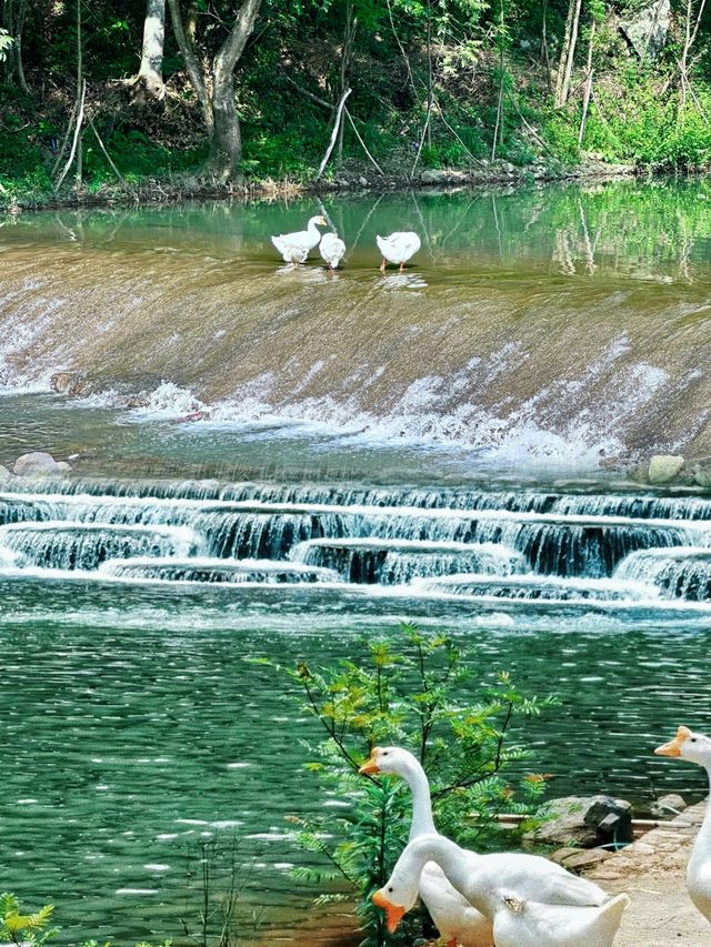 鹽幫十八渡：爬山徒步、溯溪玩水的絕佳地