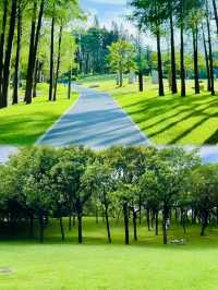 深圳可以野外奔跑嘅公園。