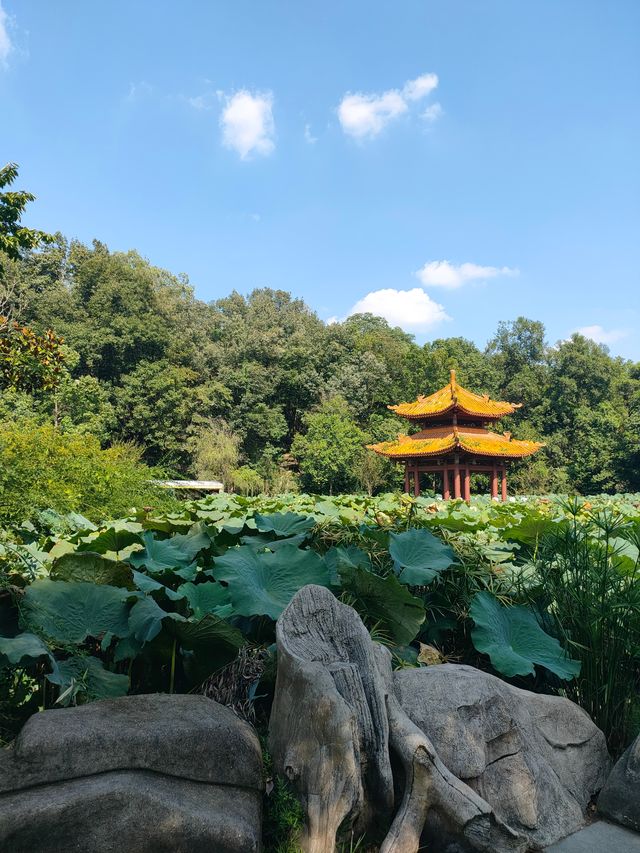 富樂山公園。