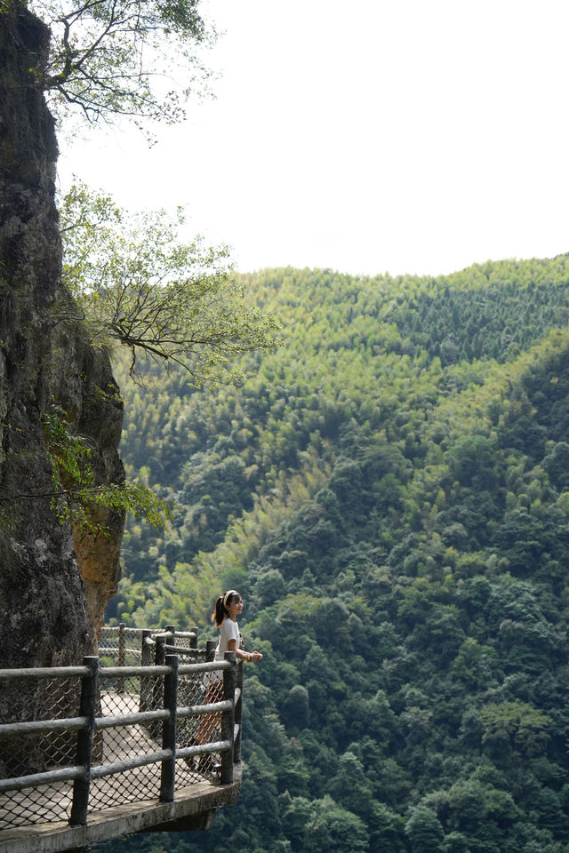 在浙西|小小藥王山，拿下！。