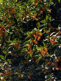 帶孩子在植物園裏撿「垃圾」。
