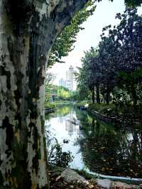蛻變——和平公園。