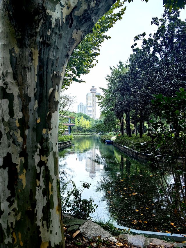 蛻變——和平公園。