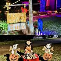 Spooky Halloween, apart from the common spooky decorations UK Edinburgh