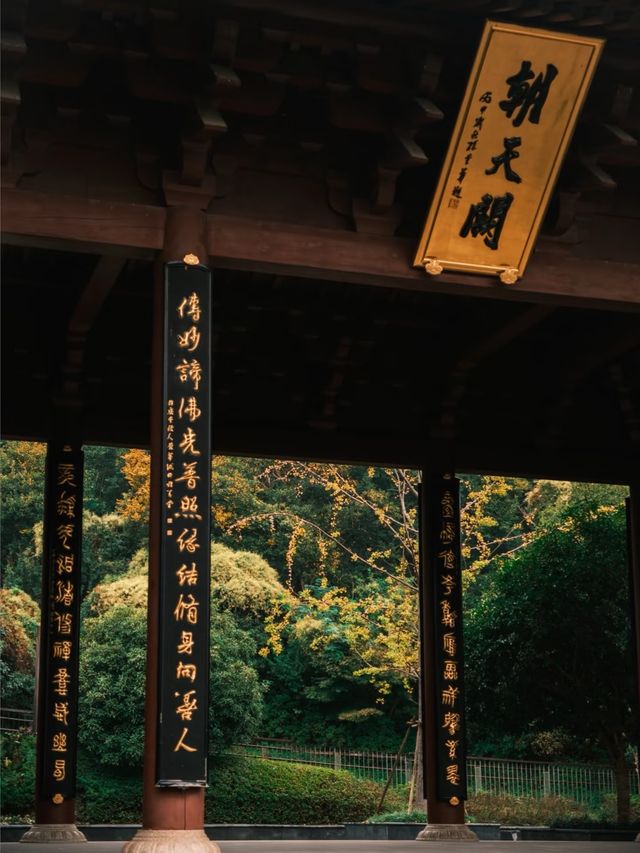 比起中山陵   秋天去南京我更推薦來這裡。