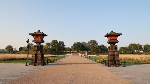 趕上夕陽的尾巴，欣賞粉黛花海。