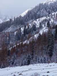 聽我說，冬天去川西看雪山。