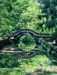 四面山之旅。