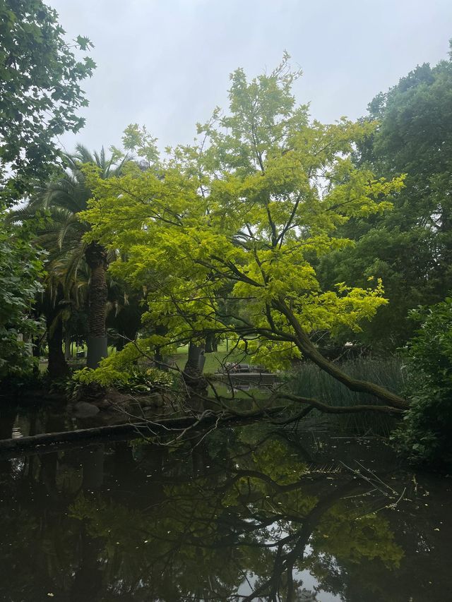 澳洲5日遊 玩轉天堂之旅。