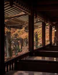 日光紅葉｜一場雨，便進入了秋色的仙境。