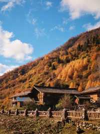 光霧山擠得水洩不通，綿陽這幾處絕美彩林更值得去。