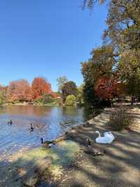 Autumn is the most beautiful season!! 