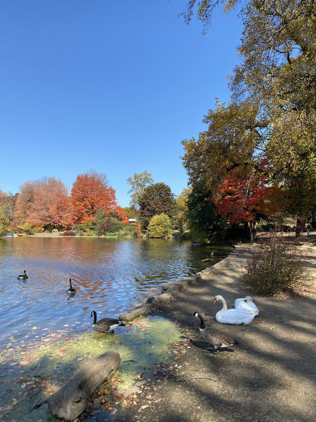 Autumn is the most beautiful season!! 