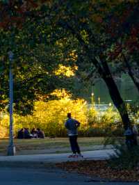 Experience the Golden Autumn at Prospect Park