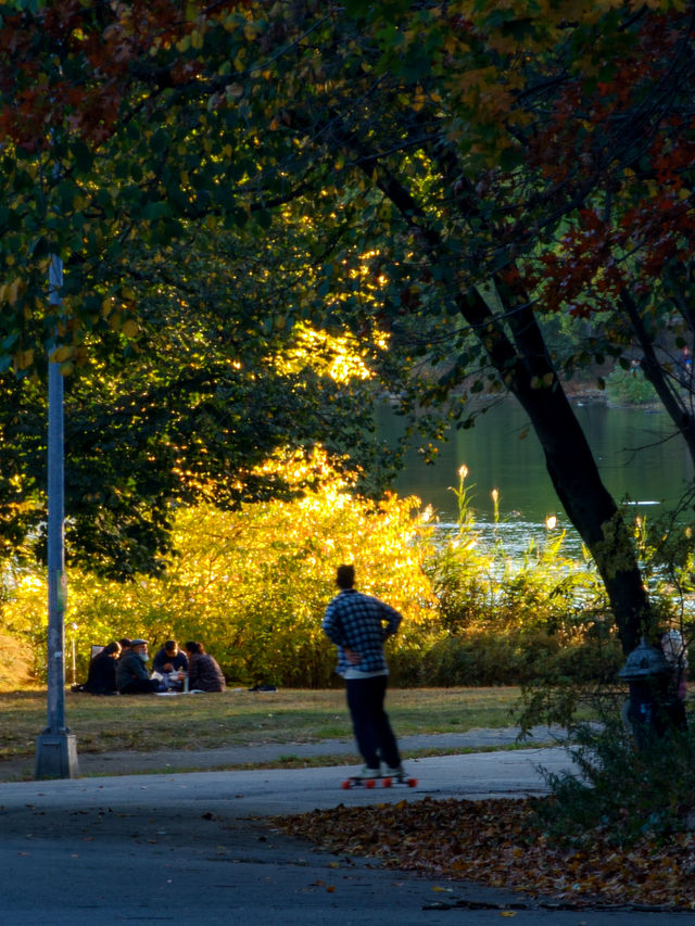 Experience the Golden Autumn at Prospect Park