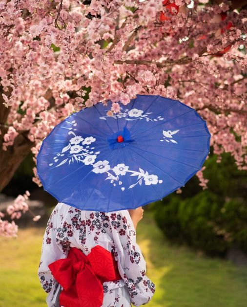 四日市市：日本工業與人文交織的港灣。