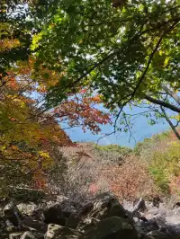 【光州，韓國的魅力之城】。