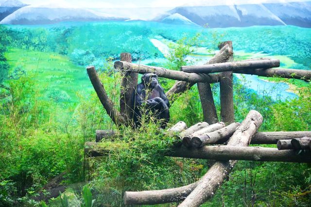 神奇動物在成都｜與自然零距離接觸