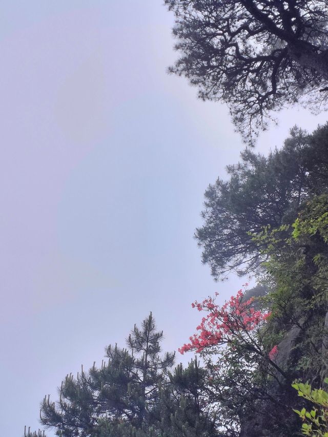 江西三清山｜三清盛景，峰奇雲繞韻無窮