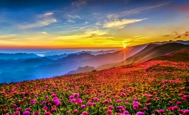天啊，美得令人窒息！天上花海，貴州雲上屋脊