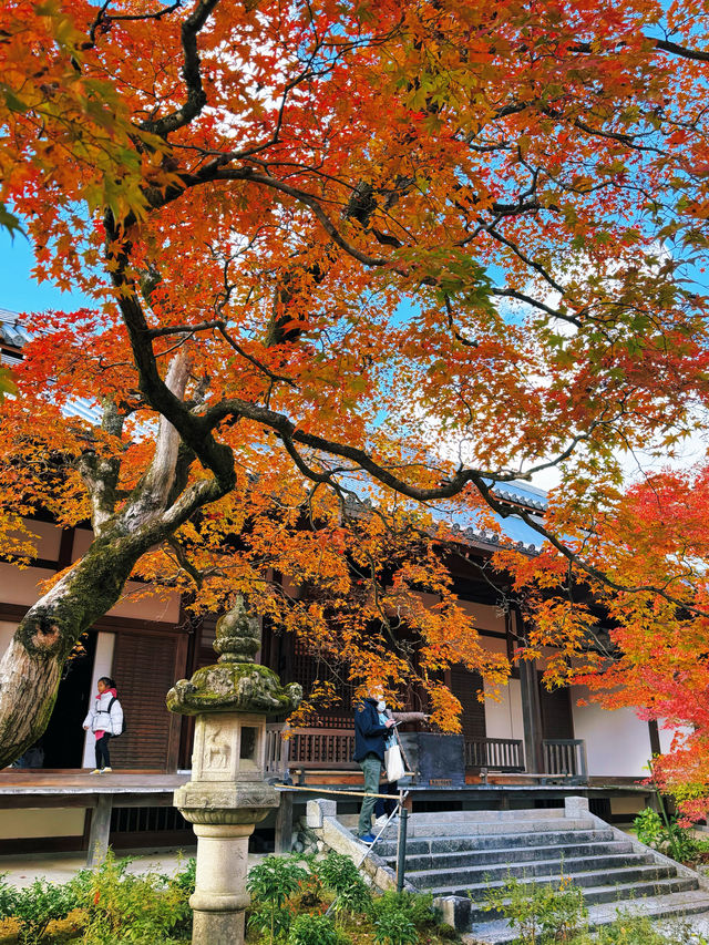 京都紅葉季最不能錯過的地方—常寂光寺