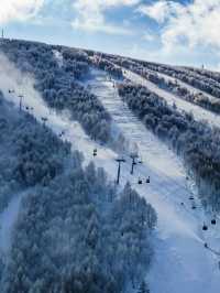 崇禮五大雪場該怎麼選看這一篇就夠了
