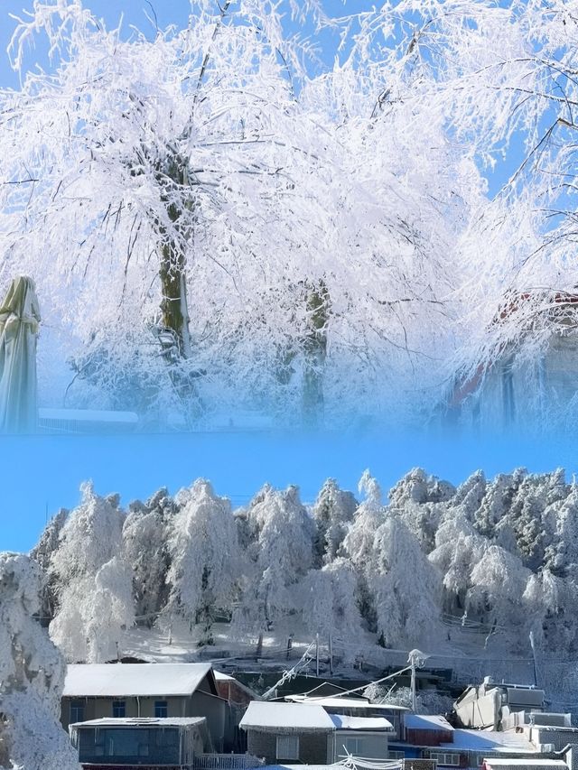 冬季廬山雪景 | 邂逅韓劇同款氛圍感