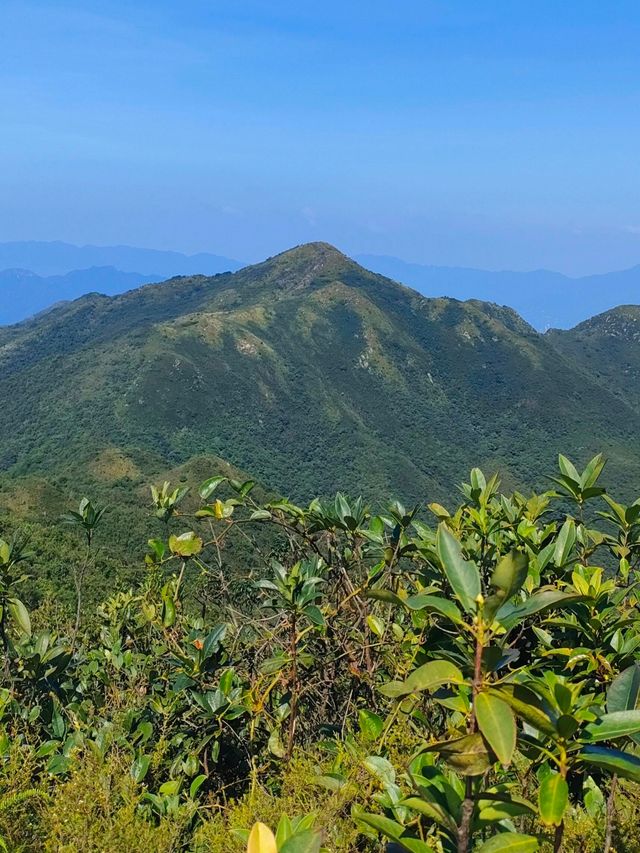 肇慶爛柯山探秘一場穿越時空的山水之旅