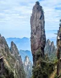 live 圖的莽山讓我墜入著無盡的雲海之中