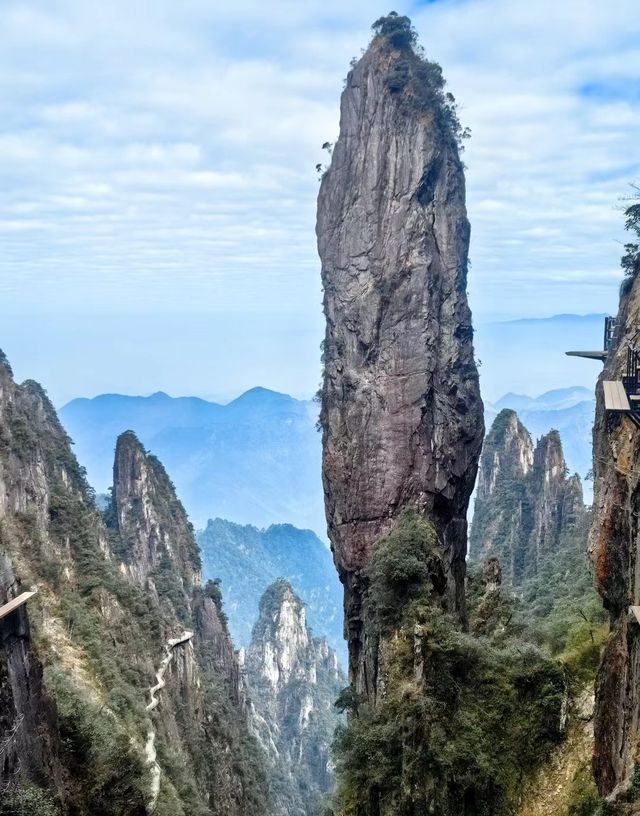 live 圖的莽山讓我墜入著無盡的雲海之中
