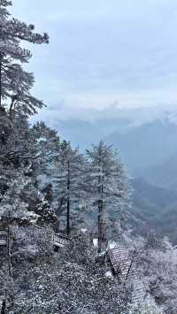 賞雪光霧山，邂逅夢幻冬景