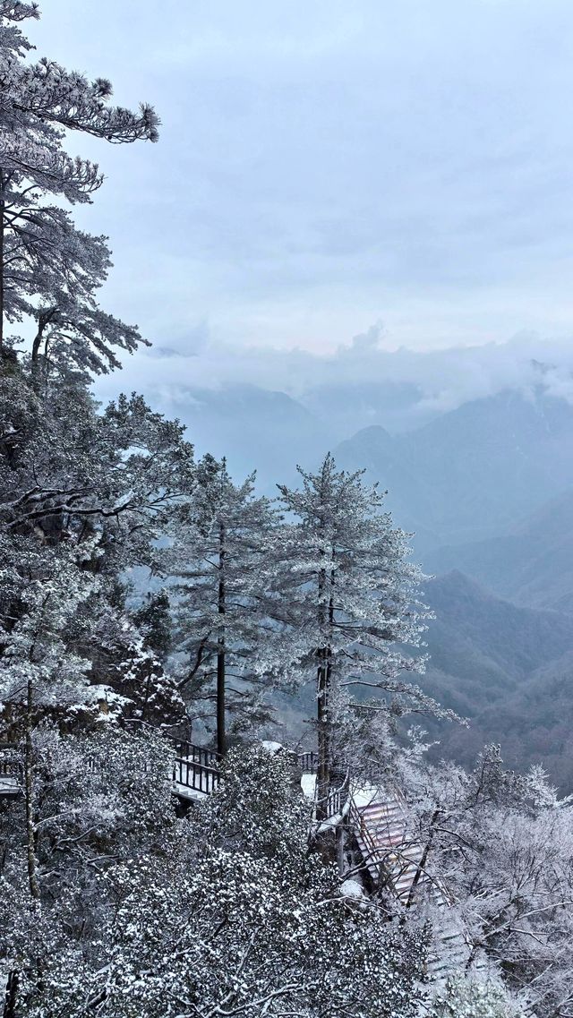 賞雪光霧山，邂逅夢幻冬景