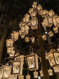 Experience the Magic of Christmas at Karuizawa Kogen Church
