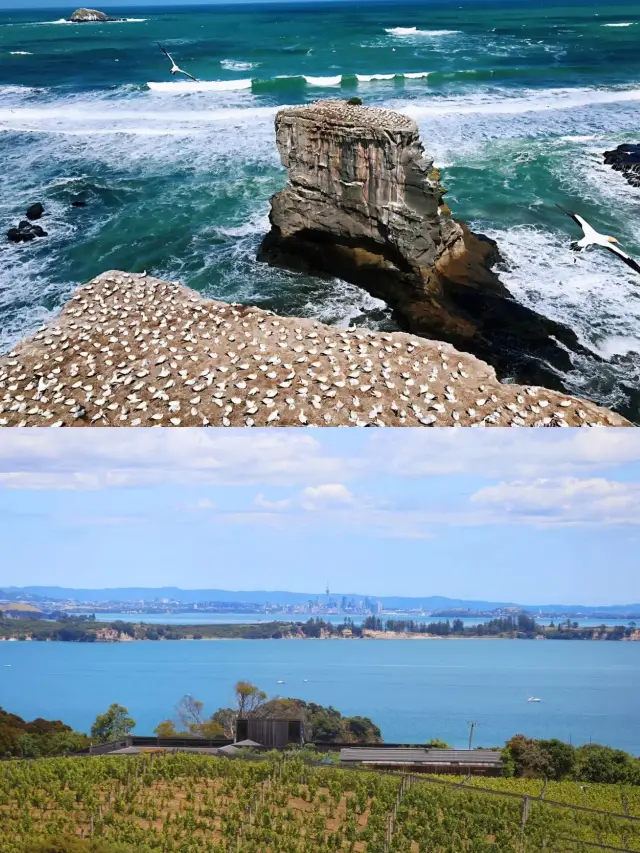 뉴질랜드 가족 여행 온천 여행을 놓치지 마세요