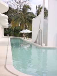 太美了吧~ 在萬寧